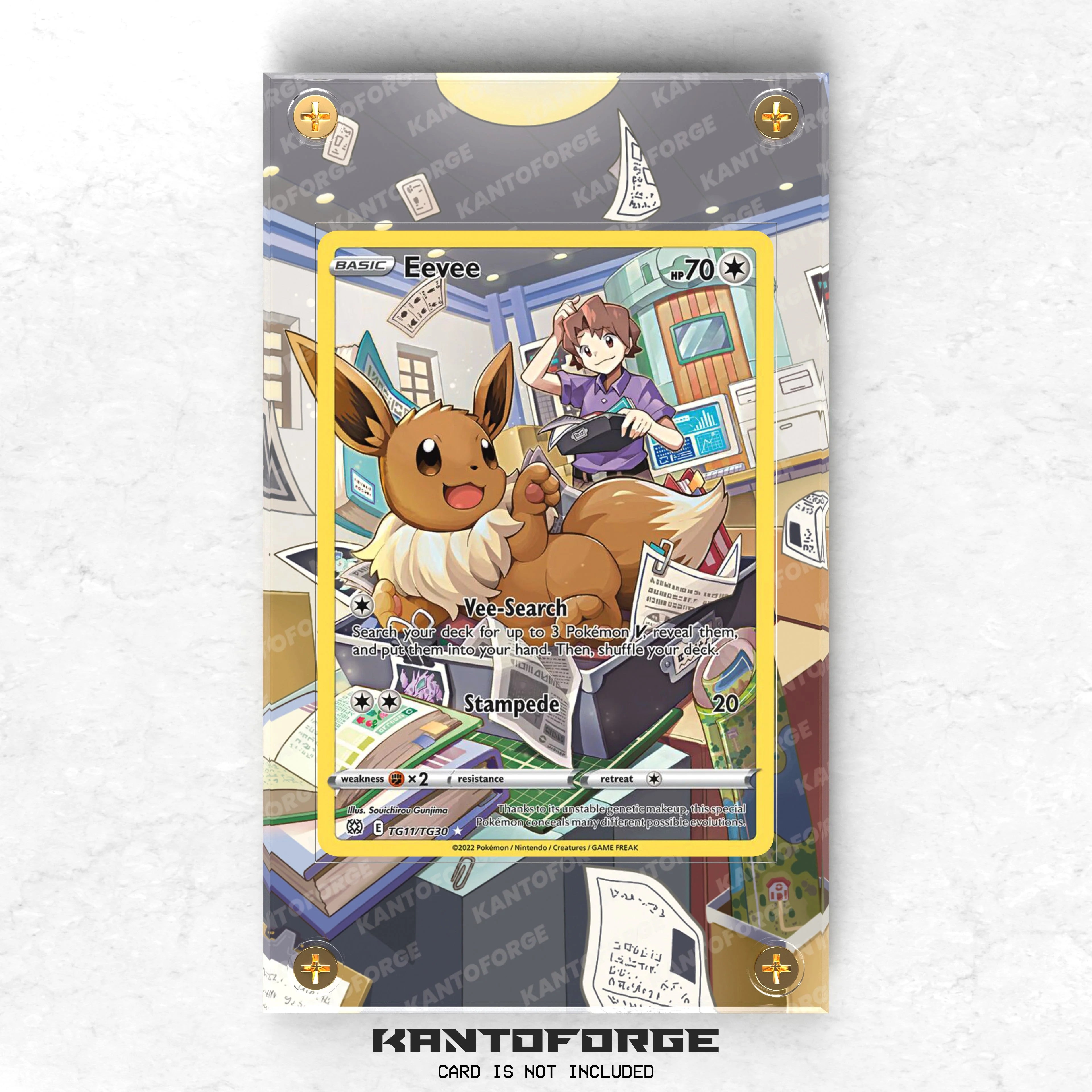 Eevee TG11/TG30 - Pokémon Extended Artwork Display Case – PokeRangers